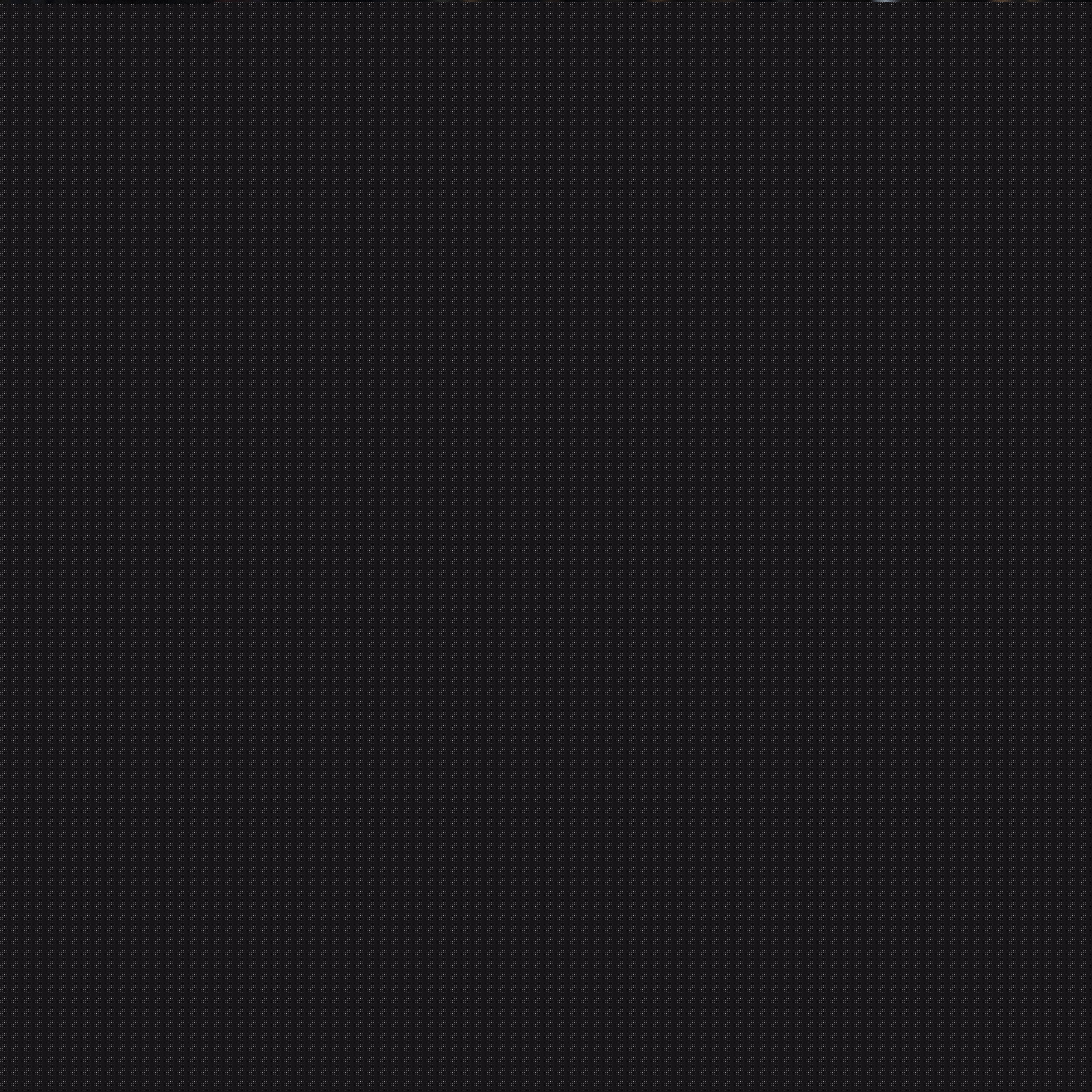 他的故事